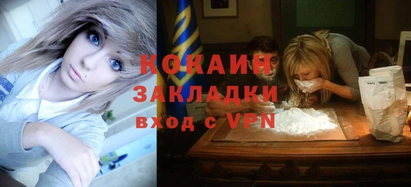 хмурый Арсеньев
