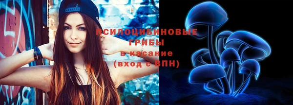 СК Алзамай