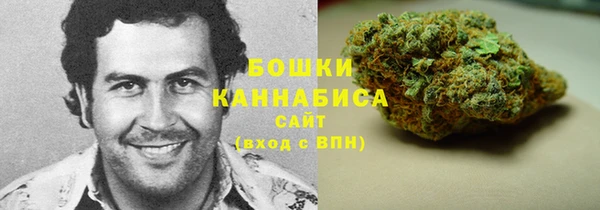 шишки Армянск