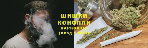 хмурый Арсеньев