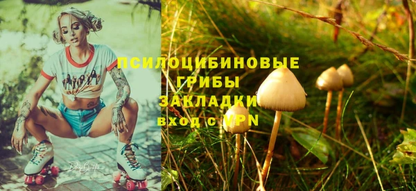 хмурый Арсеньев