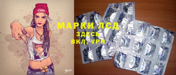 хмурый Арсеньев