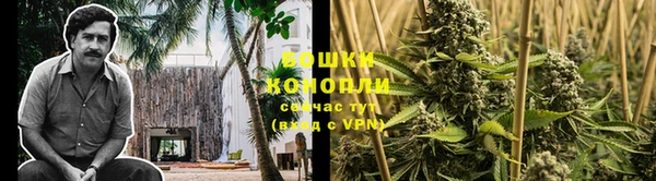 MESCALINE Аркадак