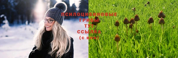 метадон Алексин