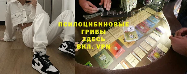 шишки Армянск