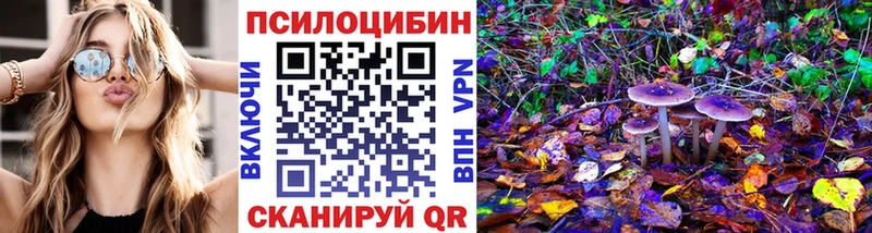 Галлюциногенные грибы Cubensis  ОМГ ОМГ онион  Печоры  где продают  